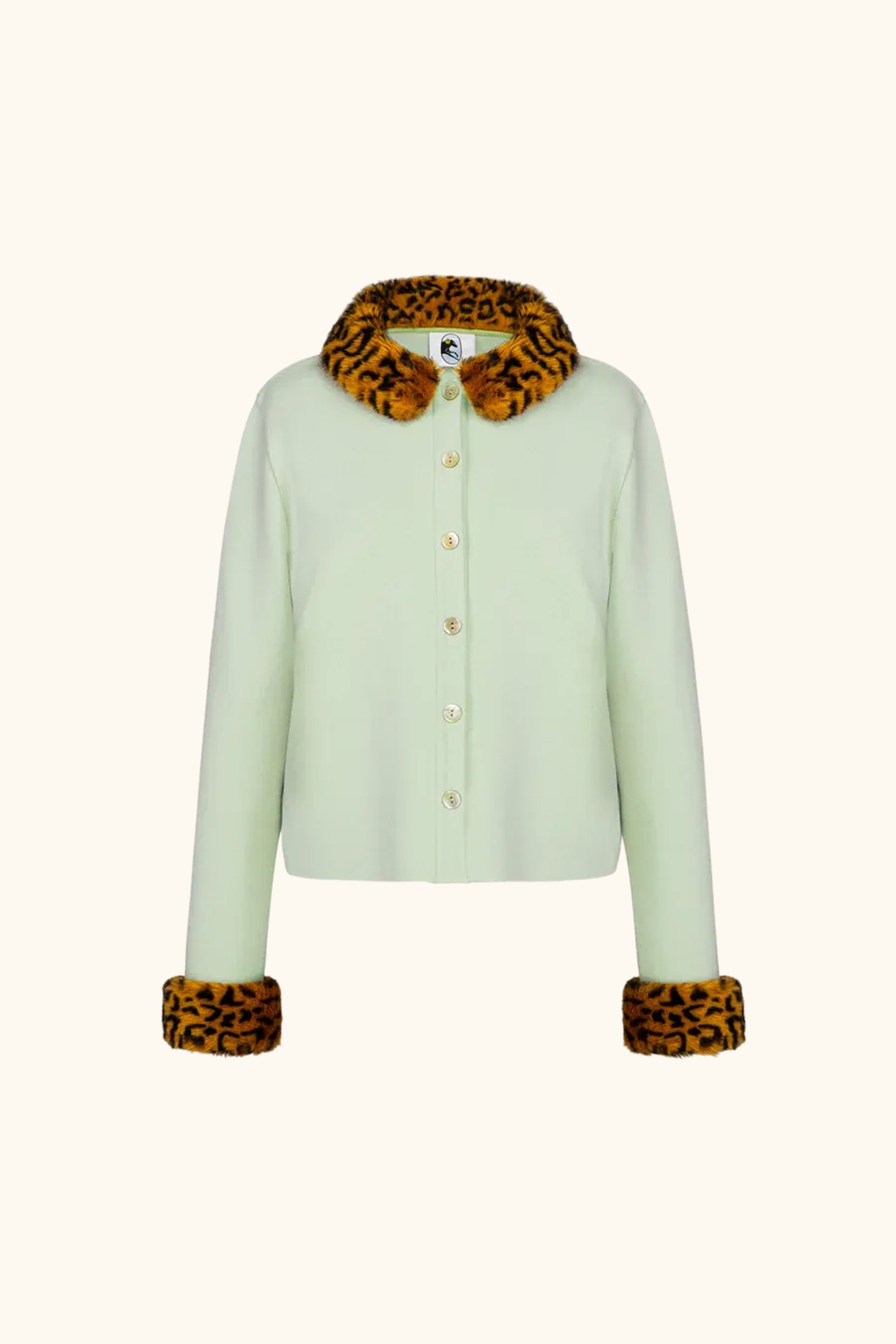 Carmela Knitted Cardigan in Mint