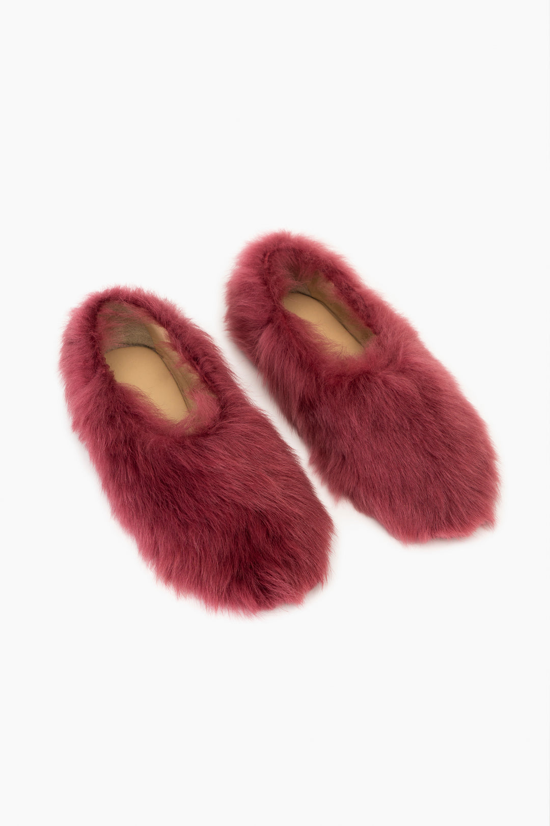 Kiwi Kiwi Shearling Ballet Flats in Burgundy