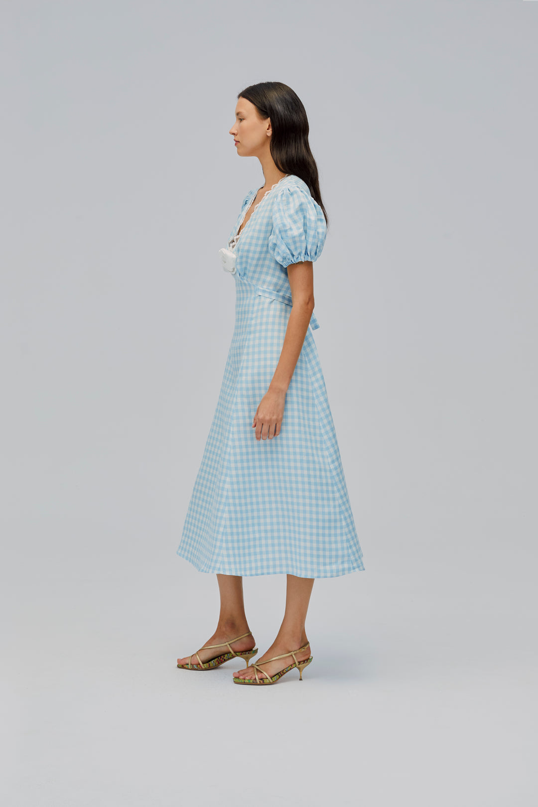 The Genus Rosa Dress in Blue Vichy