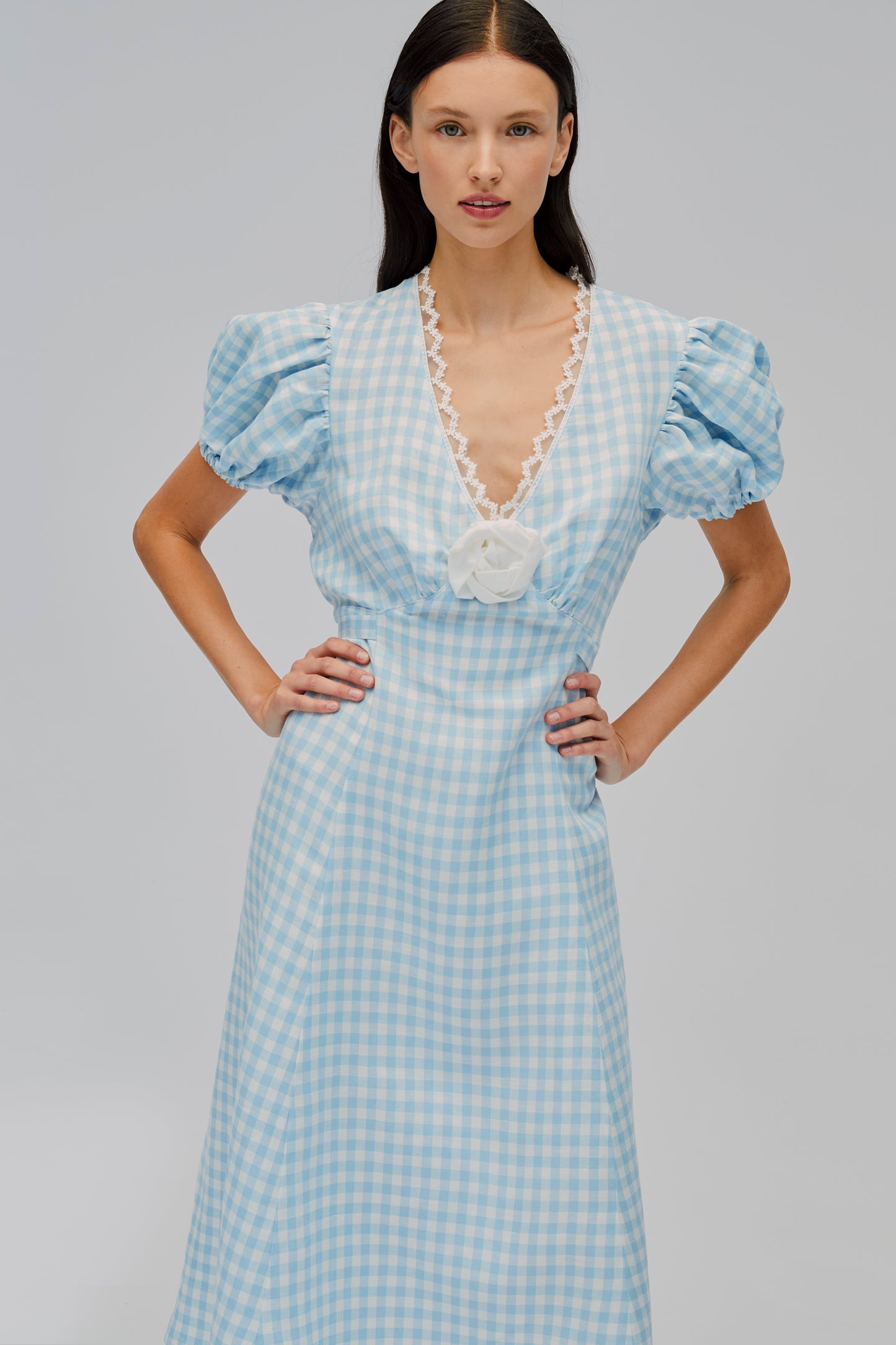 The Genus Rosa Dress in Blue Vichy