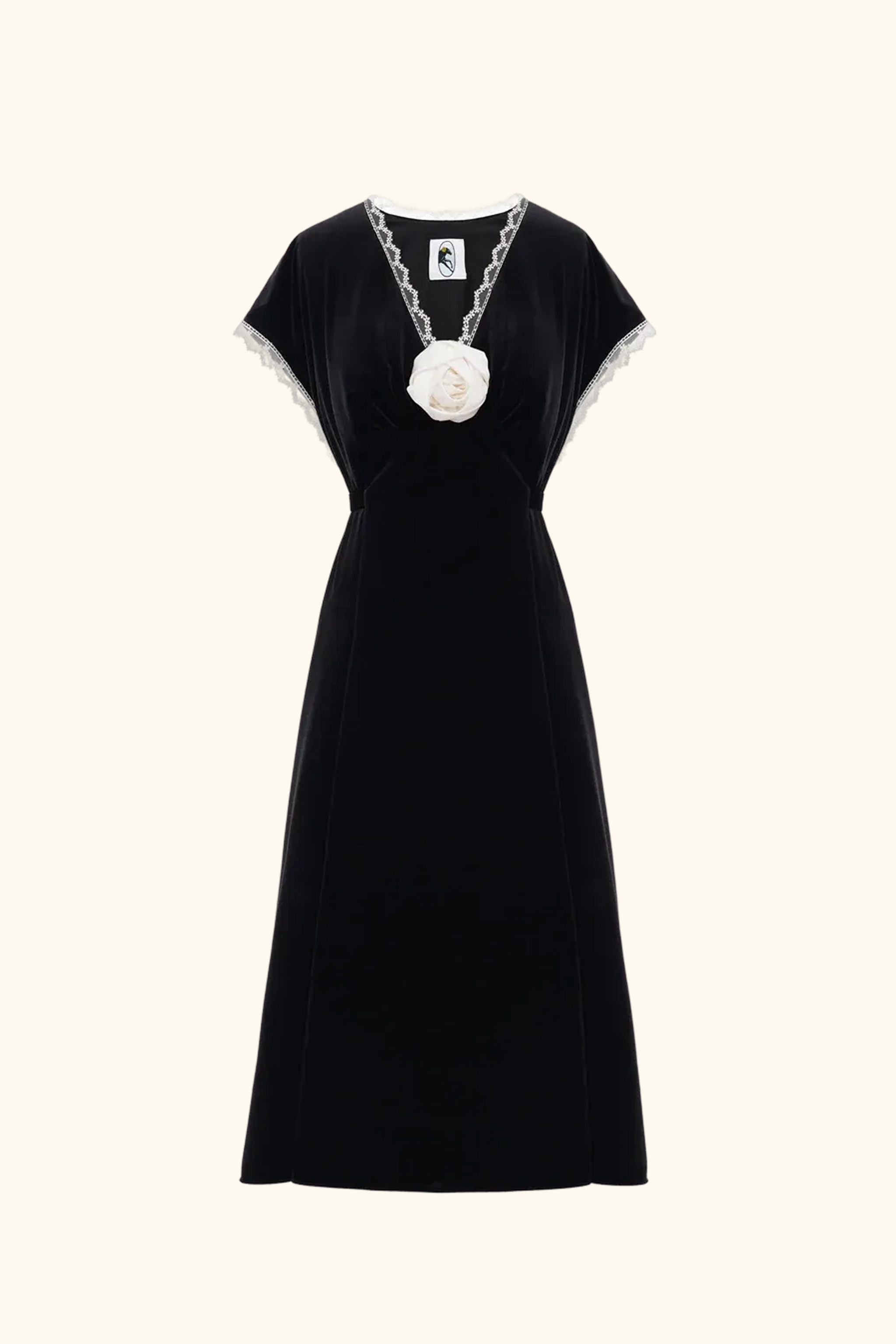 The Genus Rosa Velvet Dress in Black